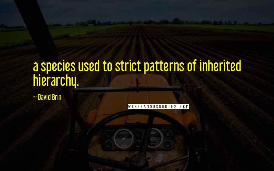 David Brin Quotes: a species used to strict patterns of inherited hierarchy.