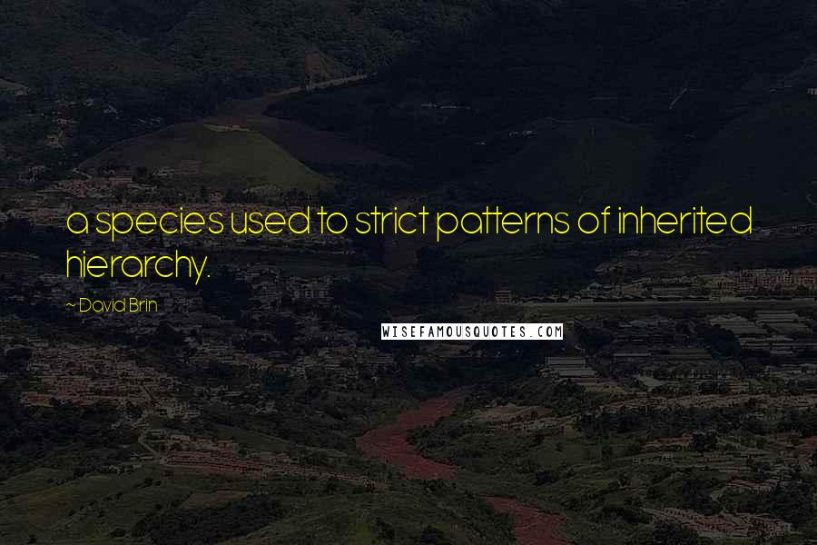 David Brin Quotes: a species used to strict patterns of inherited hierarchy.