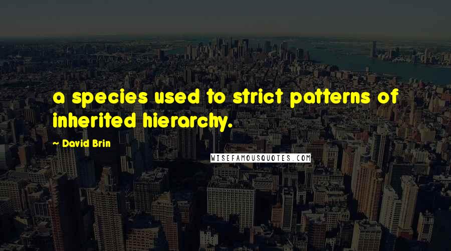 David Brin Quotes: a species used to strict patterns of inherited hierarchy.