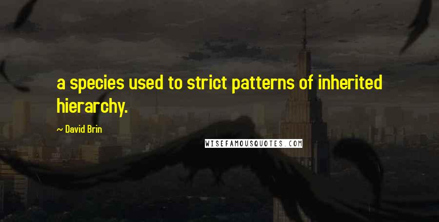 David Brin Quotes: a species used to strict patterns of inherited hierarchy.