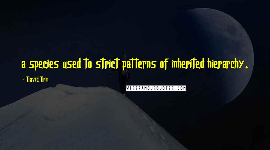 David Brin Quotes: a species used to strict patterns of inherited hierarchy.