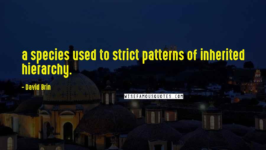 David Brin Quotes: a species used to strict patterns of inherited hierarchy.