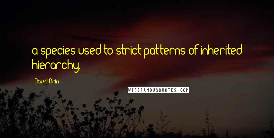 David Brin Quotes: a species used to strict patterns of inherited hierarchy.