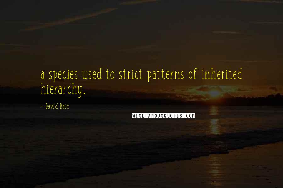 David Brin Quotes: a species used to strict patterns of inherited hierarchy.