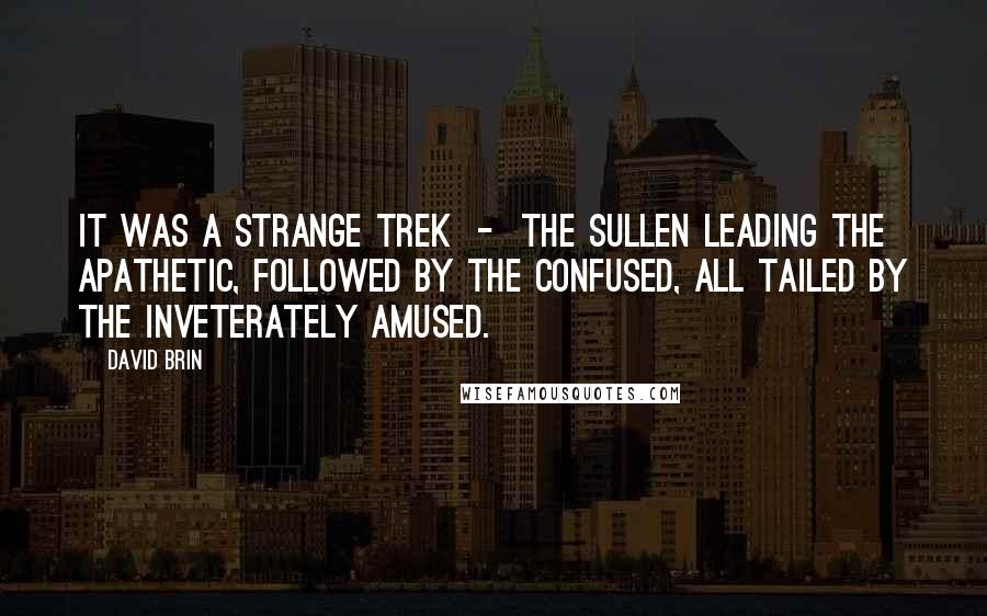 David Brin Quotes: It was a strange trek - the sullen leading the apathetic, followed by the confused, all tailed by the inveterately amused.