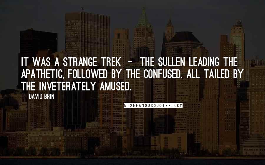 David Brin Quotes: It was a strange trek  -  the sullen leading the apathetic, followed by the confused, all tailed by the inveterately amused.