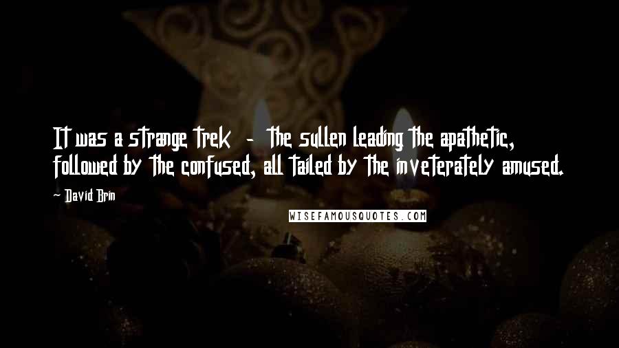 David Brin Quotes: It was a strange trek  -  the sullen leading the apathetic, followed by the confused, all tailed by the inveterately amused.