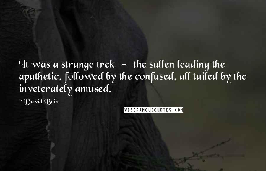 David Brin Quotes: It was a strange trek  -  the sullen leading the apathetic, followed by the confused, all tailed by the inveterately amused.