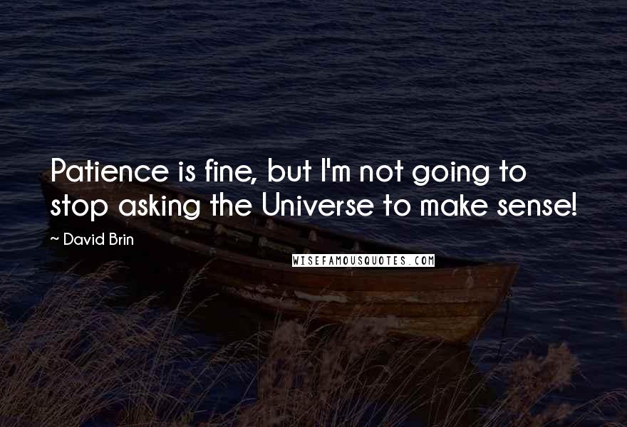 David Brin Quotes: Patience is fine, but I'm not going to stop asking the Universe to make sense!
