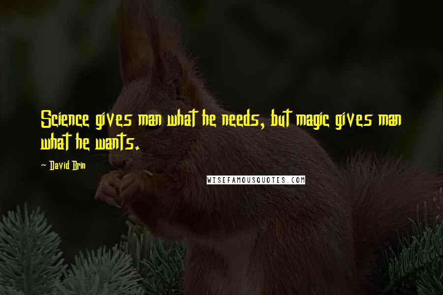David Brin Quotes: Science gives man what he needs, but magic gives man what he wants.