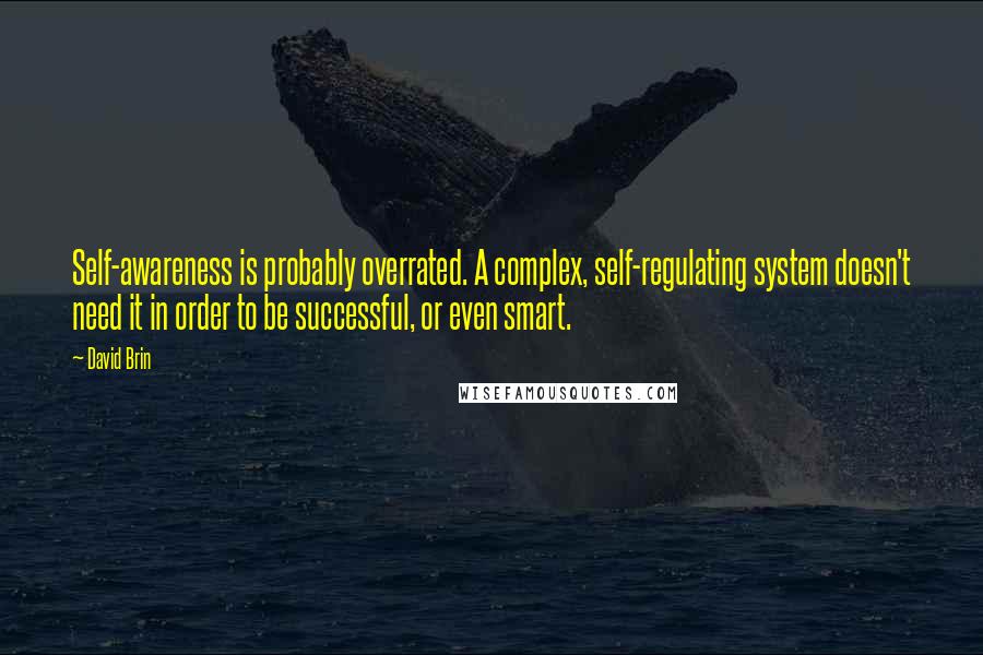 David Brin Quotes: Self-awareness is probably overrated. A complex, self-regulating system doesn't need it in order to be successful, or even smart.