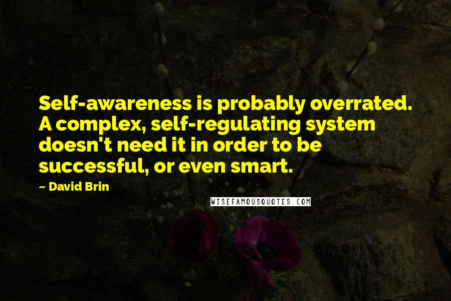 David Brin Quotes: Self-awareness is probably overrated. A complex, self-regulating system doesn't need it in order to be successful, or even smart.