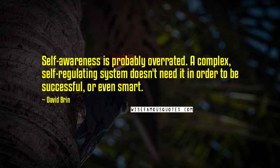 David Brin Quotes: Self-awareness is probably overrated. A complex, self-regulating system doesn't need it in order to be successful, or even smart.