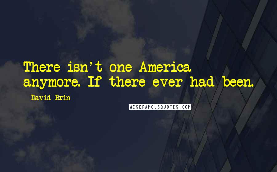 David Brin Quotes: There isn't one America anymore. If there ever had been.