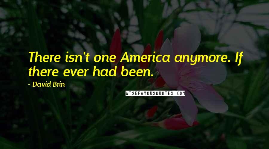 David Brin Quotes: There isn't one America anymore. If there ever had been.