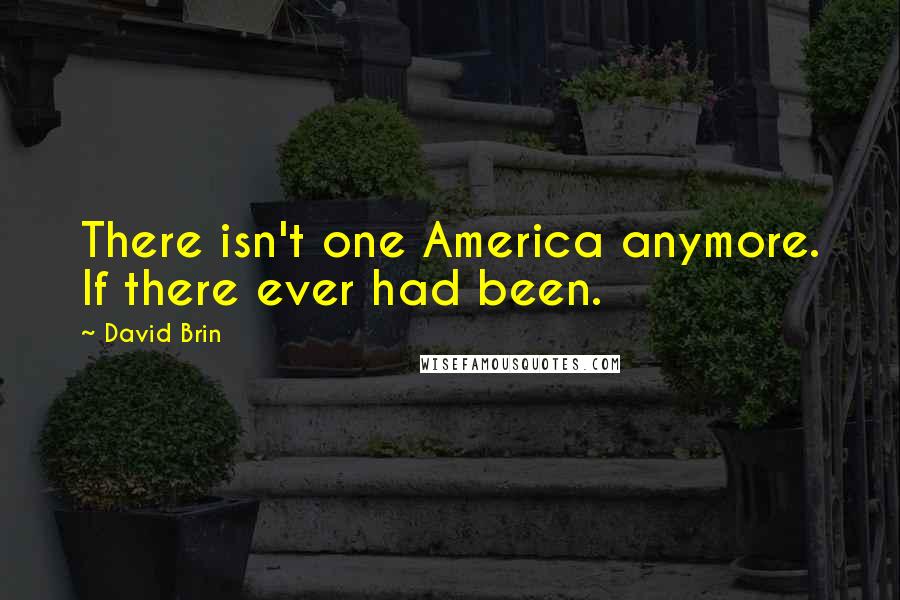 David Brin Quotes: There isn't one America anymore. If there ever had been.