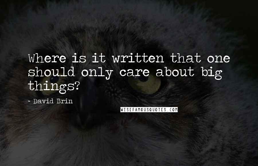 David Brin Quotes: Where is it written that one should only care about big things?