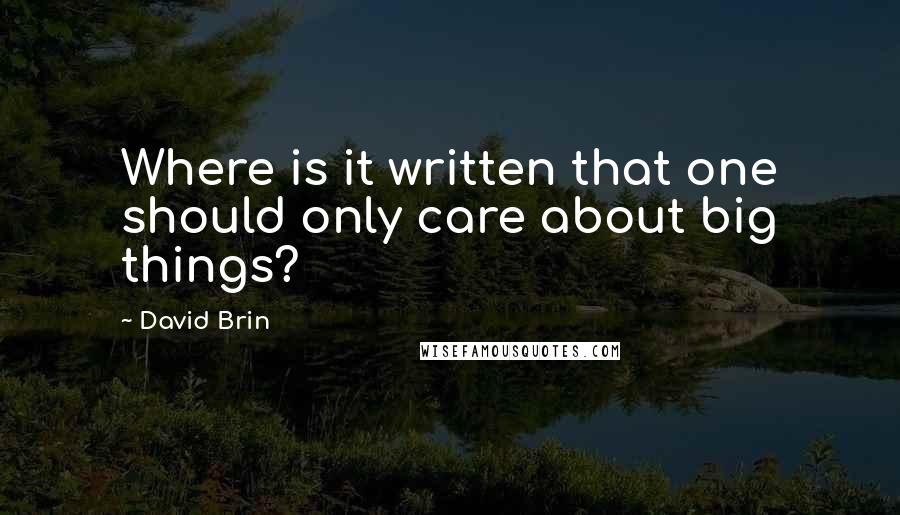 David Brin Quotes: Where is it written that one should only care about big things?