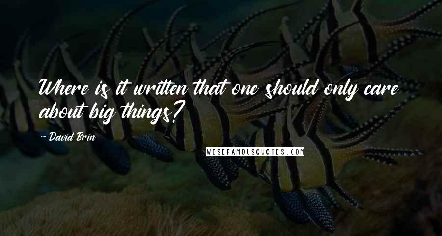 David Brin Quotes: Where is it written that one should only care about big things?