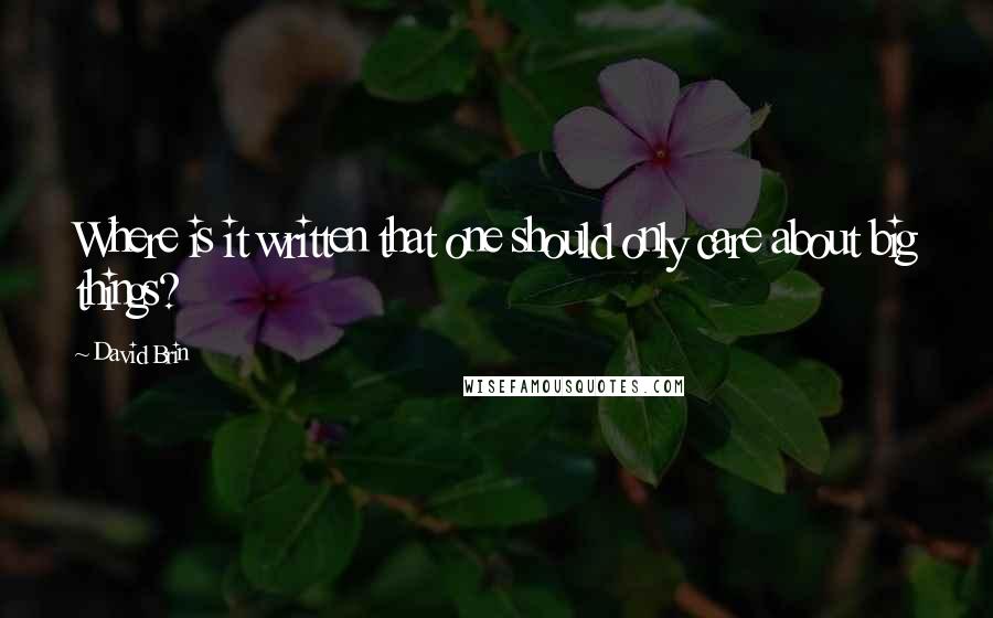 David Brin Quotes: Where is it written that one should only care about big things?