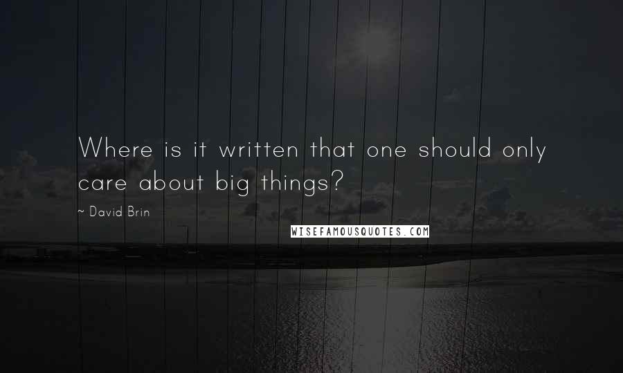David Brin Quotes: Where is it written that one should only care about big things?