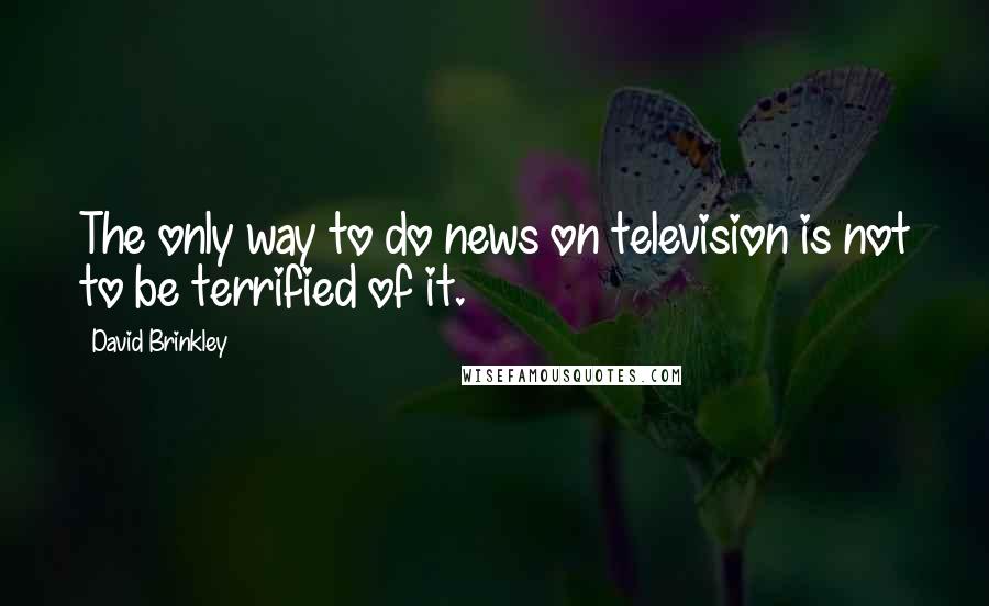 David Brinkley Quotes: The only way to do news on television is not to be terrified of it.