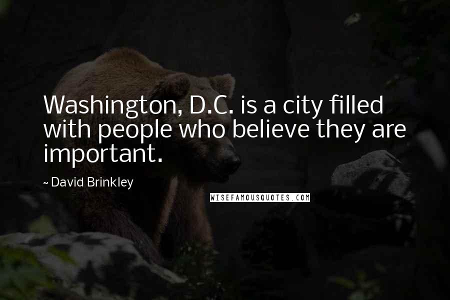 David Brinkley Quotes: Washington, D.C. is a city filled with people who believe they are important.