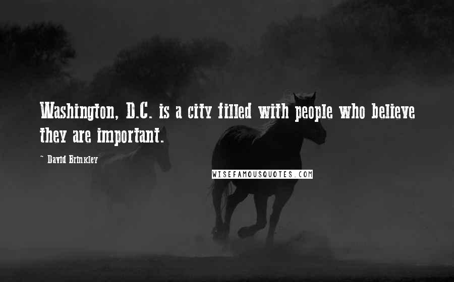 David Brinkley Quotes: Washington, D.C. is a city filled with people who believe they are important.