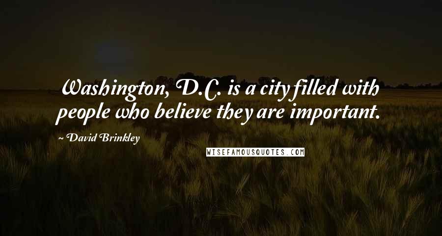 David Brinkley Quotes: Washington, D.C. is a city filled with people who believe they are important.