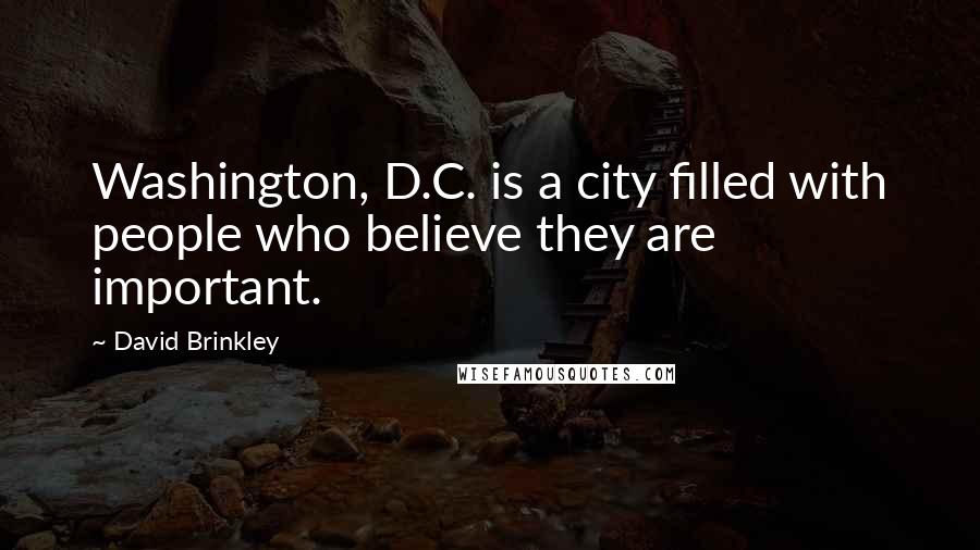 David Brinkley Quotes: Washington, D.C. is a city filled with people who believe they are important.