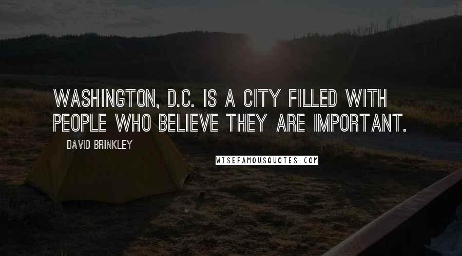 David Brinkley Quotes: Washington, D.C. is a city filled with people who believe they are important.