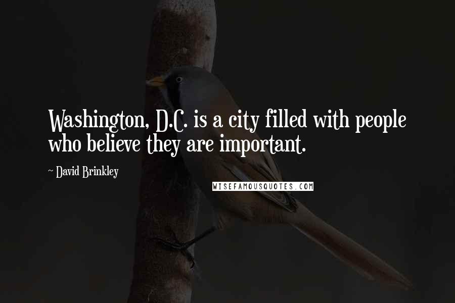 David Brinkley Quotes: Washington, D.C. is a city filled with people who believe they are important.