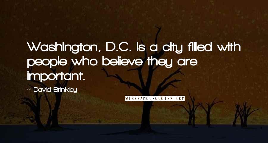 David Brinkley Quotes: Washington, D.C. is a city filled with people who believe they are important.