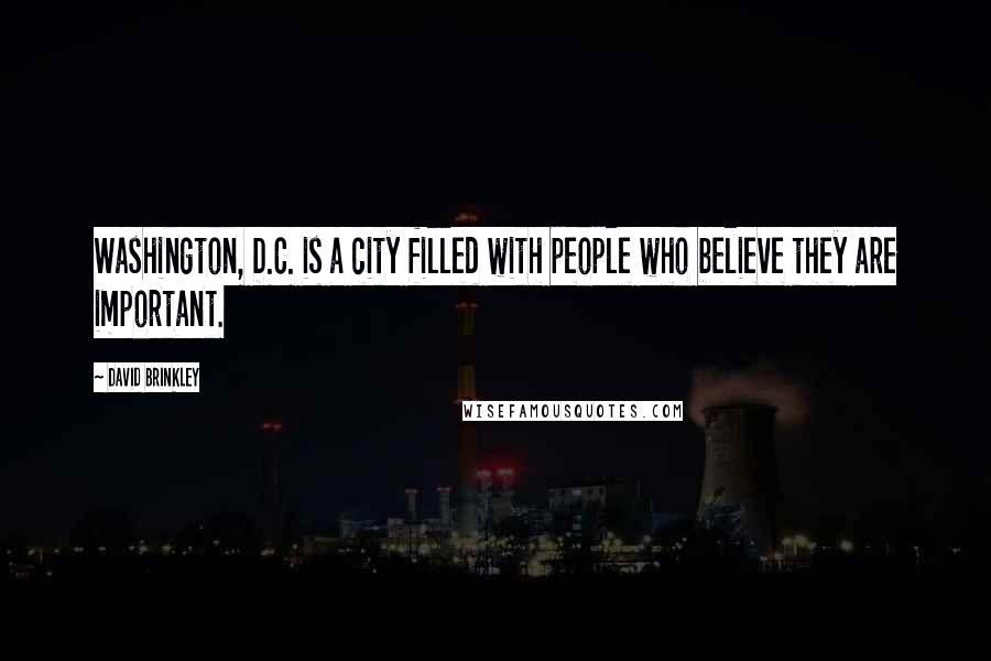 David Brinkley Quotes: Washington, D.C. is a city filled with people who believe they are important.