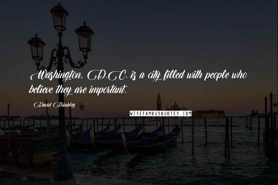 David Brinkley Quotes: Washington, D.C. is a city filled with people who believe they are important.