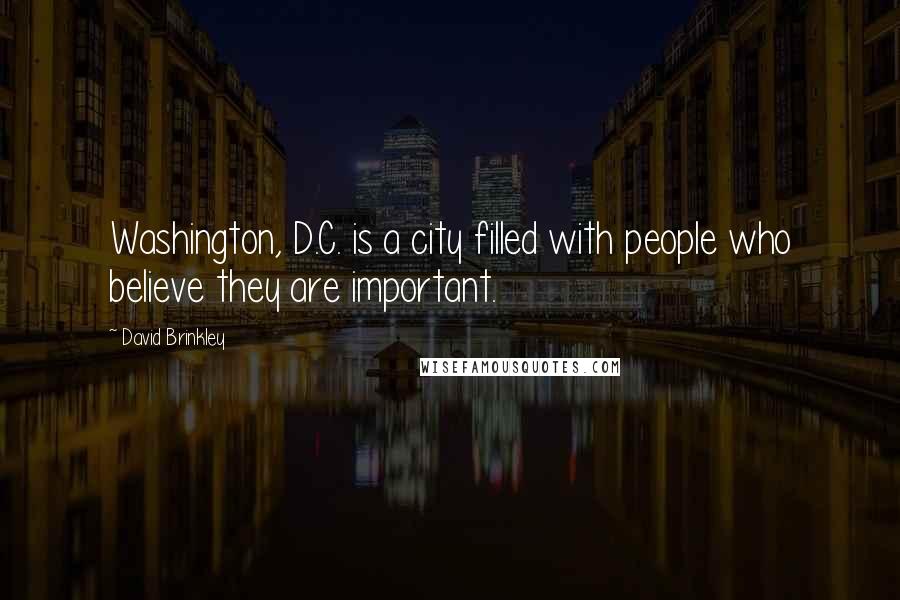 David Brinkley Quotes: Washington, D.C. is a city filled with people who believe they are important.