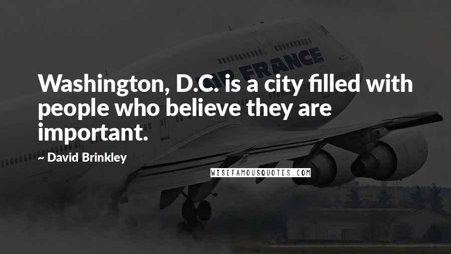 David Brinkley Quotes: Washington, D.C. is a city filled with people who believe they are important.