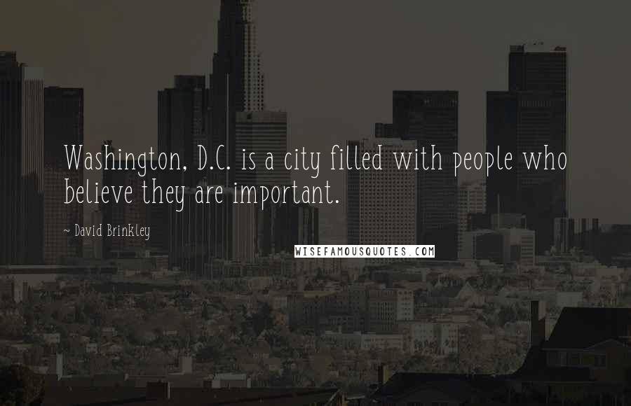 David Brinkley Quotes: Washington, D.C. is a city filled with people who believe they are important.