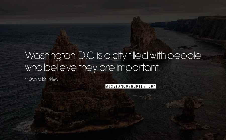 David Brinkley Quotes: Washington, D.C. is a city filled with people who believe they are important.