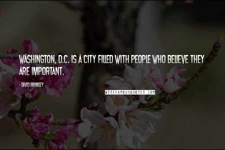 David Brinkley Quotes: Washington, D.C. is a city filled with people who believe they are important.