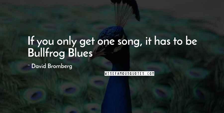 David Bromberg Quotes: If you only get one song, it has to be Bullfrog Blues