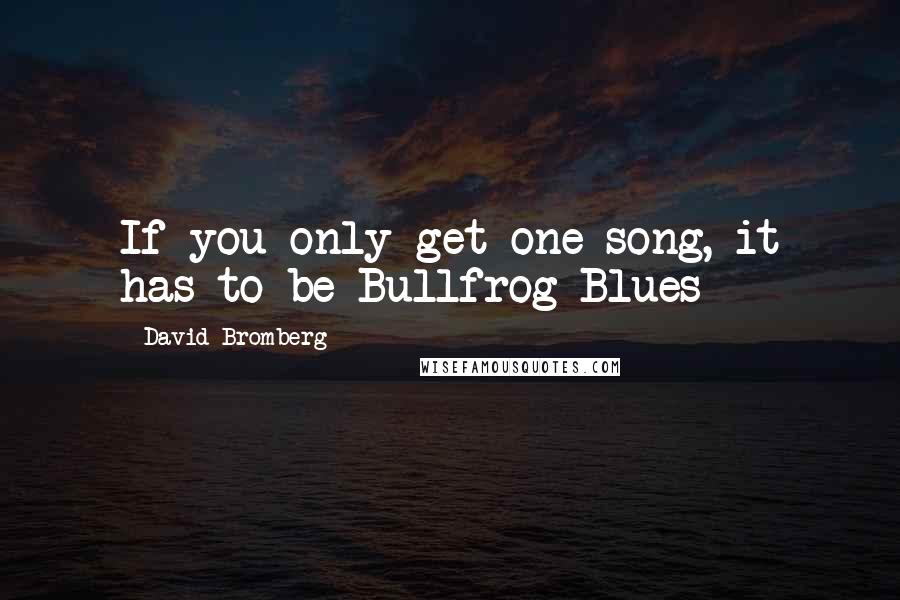 David Bromberg Quotes: If you only get one song, it has to be Bullfrog Blues