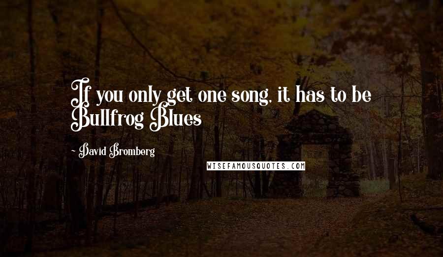 David Bromberg Quotes: If you only get one song, it has to be Bullfrog Blues