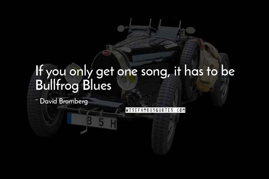 David Bromberg Quotes: If you only get one song, it has to be Bullfrog Blues