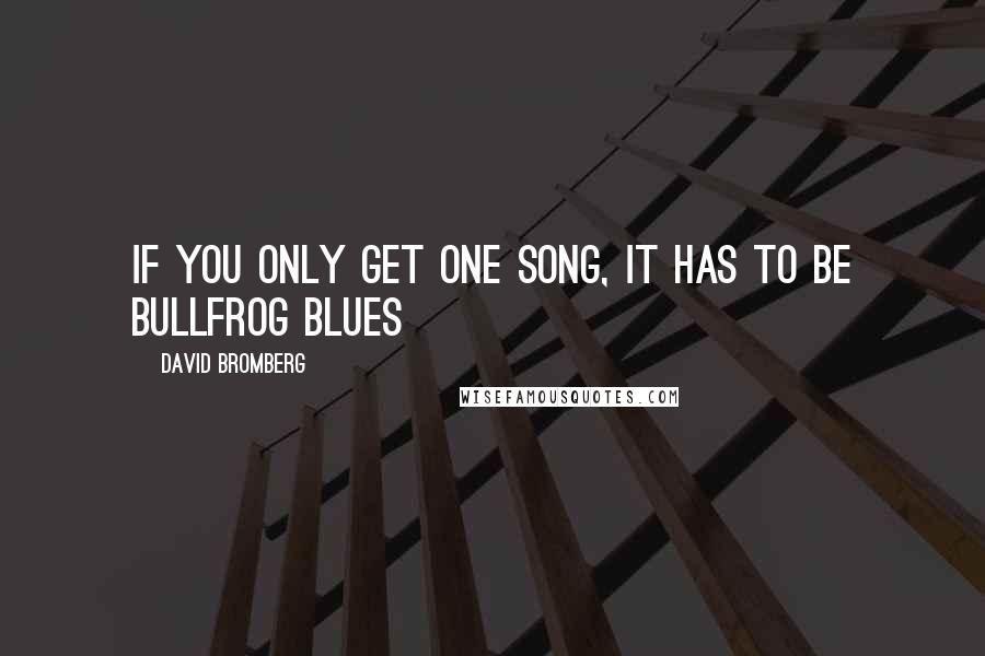 David Bromberg Quotes: If you only get one song, it has to be Bullfrog Blues