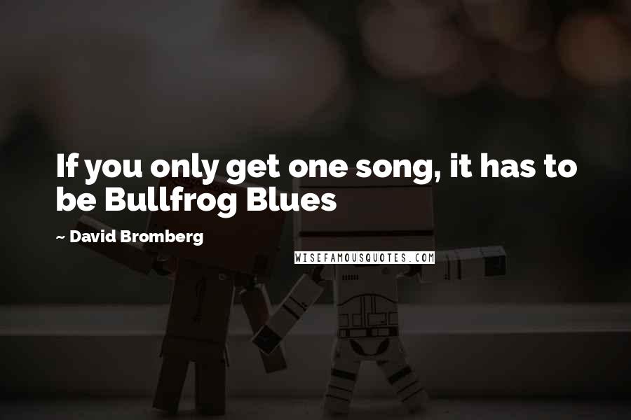 David Bromberg Quotes: If you only get one song, it has to be Bullfrog Blues