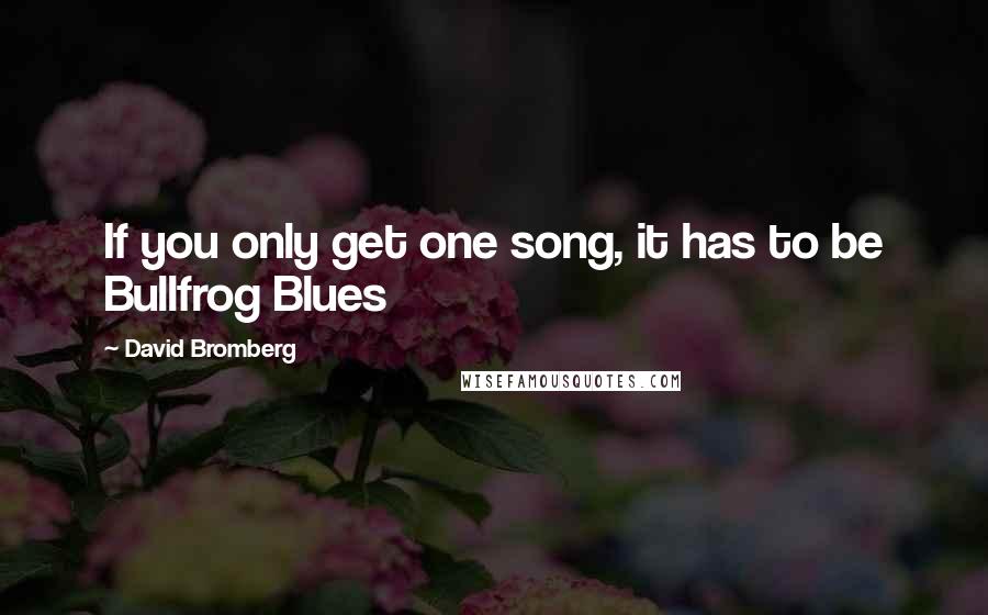 David Bromberg Quotes: If you only get one song, it has to be Bullfrog Blues