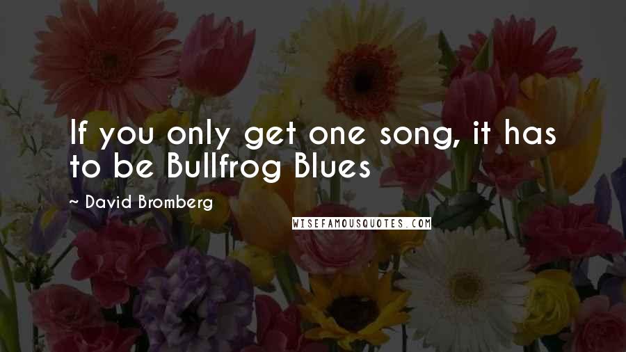 David Bromberg Quotes: If you only get one song, it has to be Bullfrog Blues