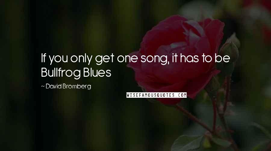 David Bromberg Quotes: If you only get one song, it has to be Bullfrog Blues