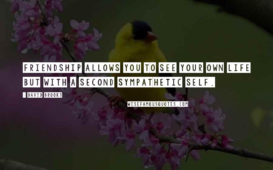 David Brooks Quotes: Friendship allows you to see your own life but with a second sympathetic self.